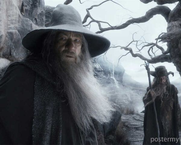 Hobbits: A Fellowship Forged in Adversity