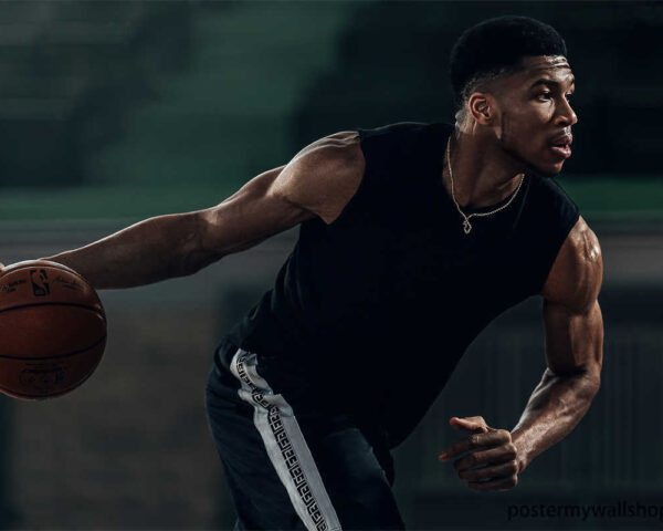 Giannis Antetokounmpo's Playoff Brilliance
