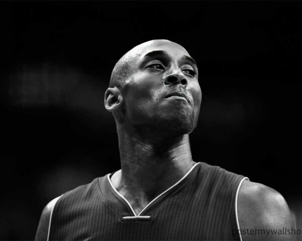 Kobe Bryant: A Champion's Pedigree and Legacy