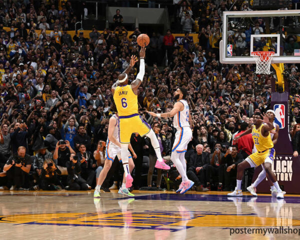 LeBron James: A Basketball Icon Dominating the Court