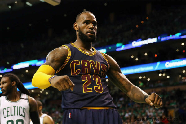 LeBron James: A Complete Basketball Package