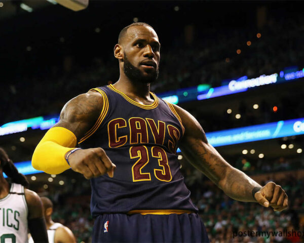 LeBron James: A Complete Basketball Package