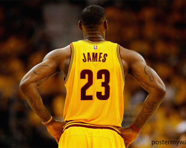 LeBron James: A Decade of Dominance