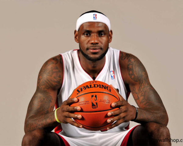 LeBron James: The Architect of Basketball Brilliance