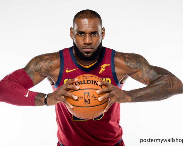 LeBron James: The King's Reign of Excellence