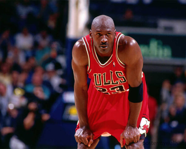 The Champion's Journey: Discover the Legacy of Michael Jordan