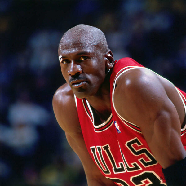 Redefining Greatness: Michael Jordan's Trailblazing NBA Seasons