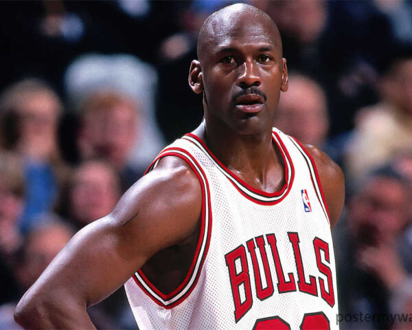 NBA Michael Jordan: The Legacy of a Champion