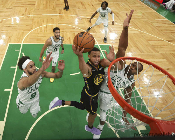Stephen Curry's Fandom: A Collective Basketball Dream