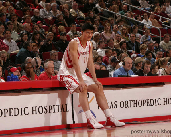 NBA Yao Ming: The Scoring Machine in the Paint