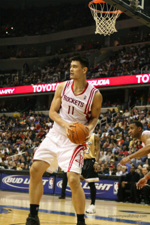 NBA Yao Ming's Memorable Playoff Performances