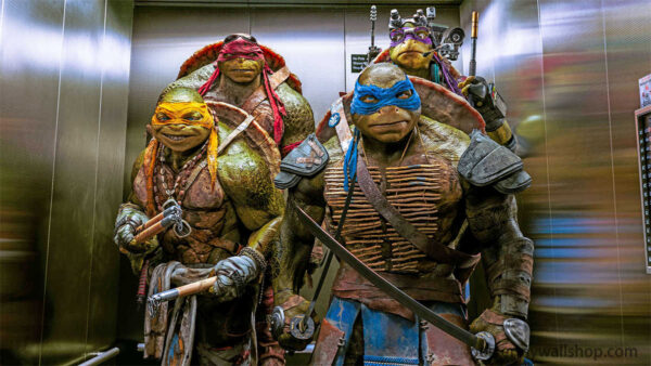 The Enduring Popularity of Ninja Turtles