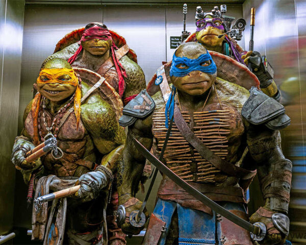The Enduring Popularity of Ninja Turtles