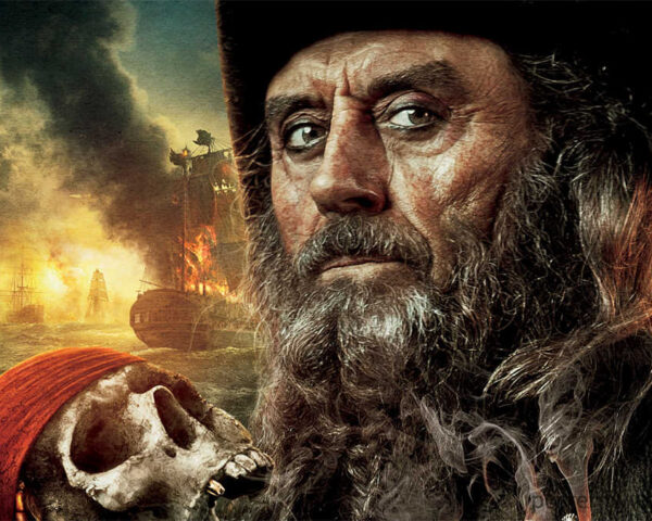 Pirates of the Caribbean: The Loyal and Fearless Nature of Cotton's Parrot