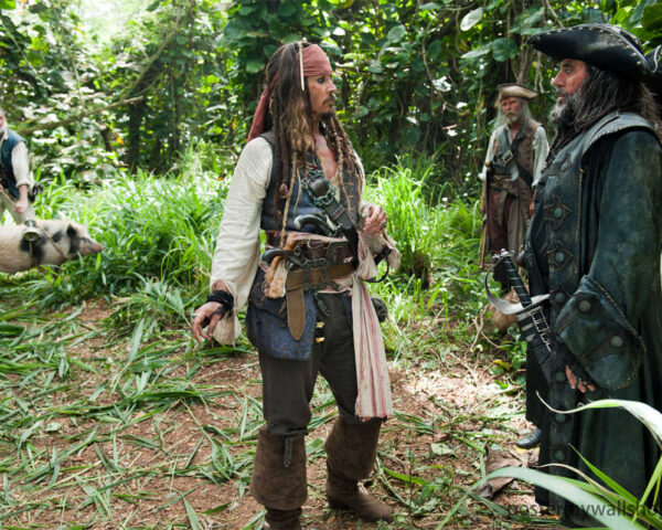 Pirates of the Caribbean Fan Theatrical Performances: Bringing