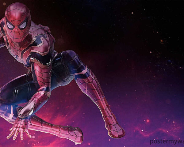 Spider-Man: The Enigmatic Charm of a Hero