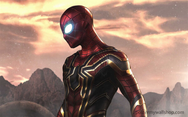 Spider-Man:A Hero with a Hidden Identity