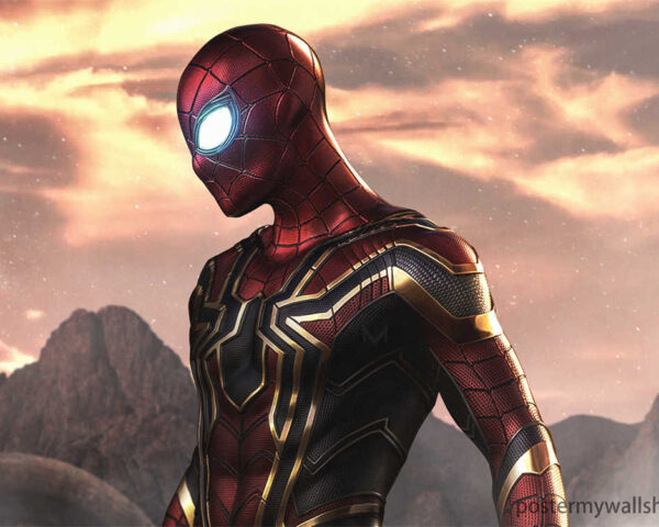 Spider-Man:A Hero with a Hidden Identity
