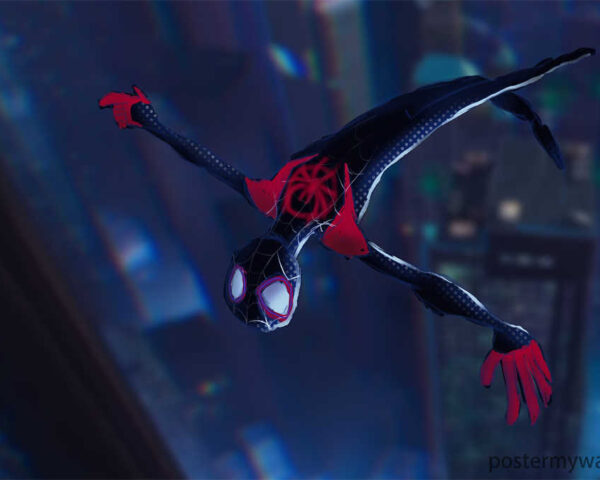 Spider-Man:A Mysterious Persona