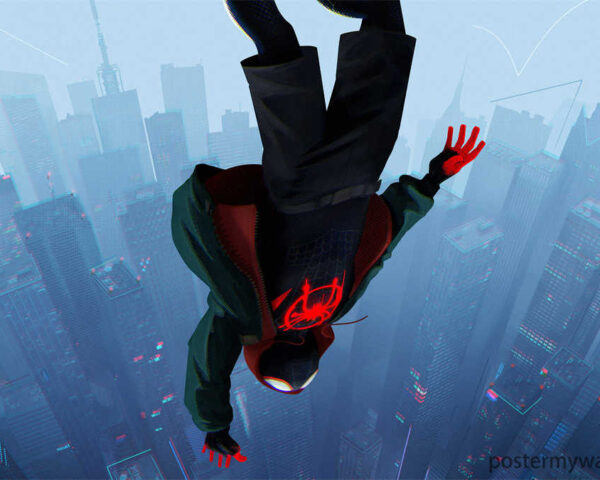 Spider-Man: The Cosmic Conundrum