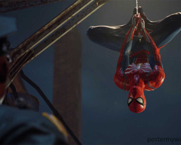 Spider-Man: The Web-Slinger's Last Stand