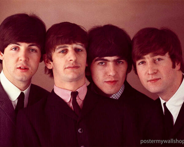 Eleanor Rigby's Lonely Hearts Club: A Beatles Love Story
