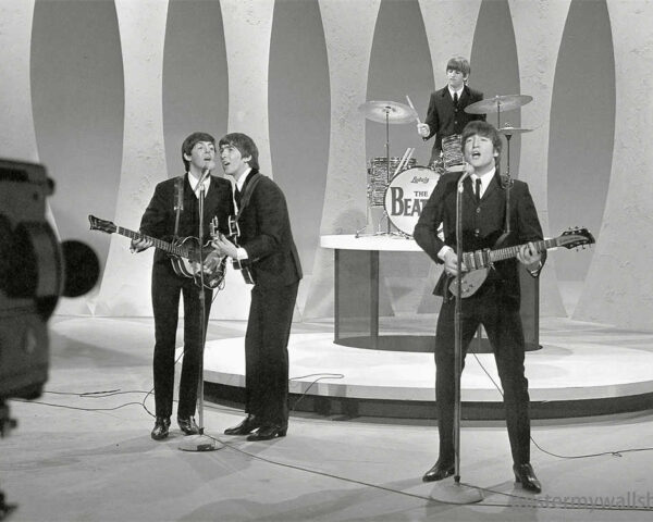 The Beatles: Timeless Love Songs