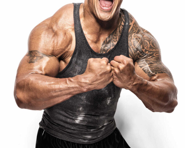 Wrestling's Hero, Hollywood's Superstar