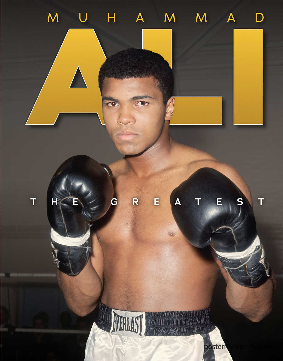 Muhammad Ali A Living Legend The Man Behind The Gloves Poster My